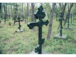 Живые и мертвые